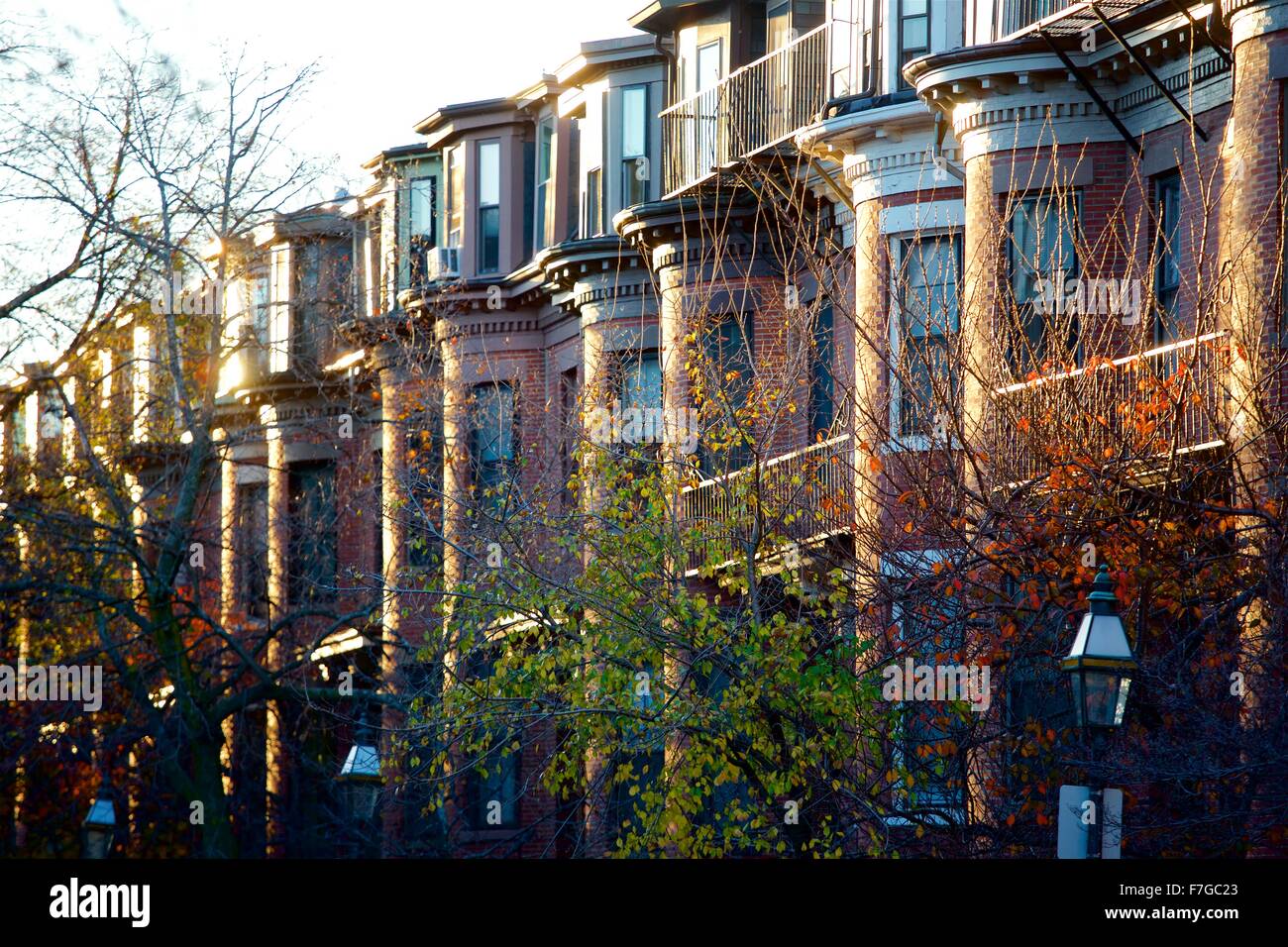 Herbst im Stadtteil South End, Boston, Massachusetts Stockfoto