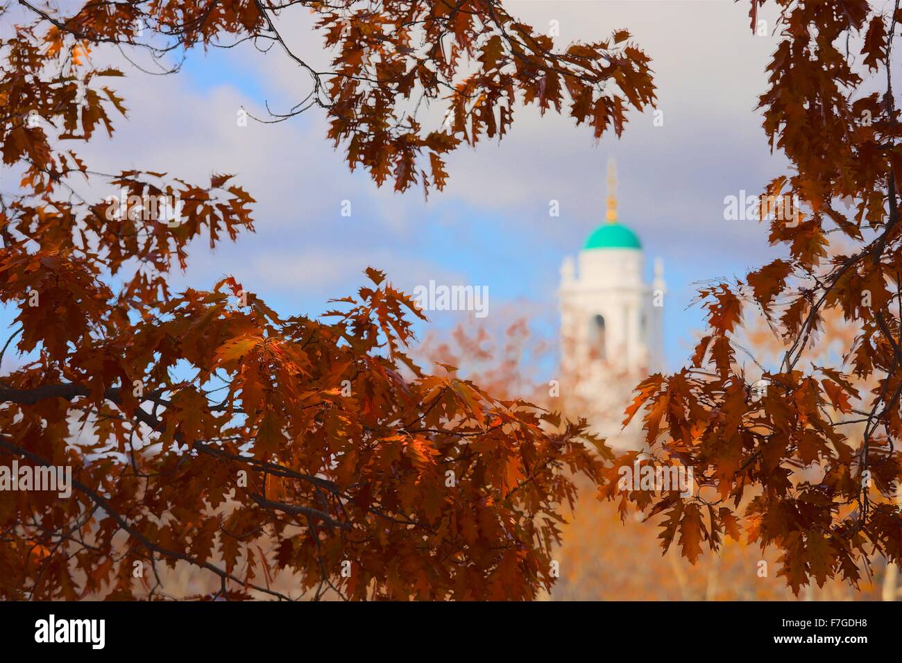 Schönen Herbsttag entlang des Charles River an der Harvard University in Cambridge, Massachusetts Stockfoto