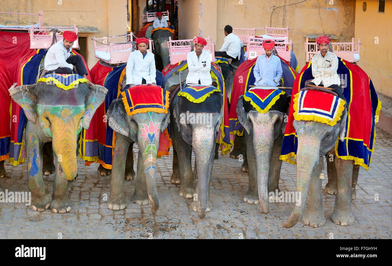 Elefanten warten auf Touristen, Amber Fort Amber Palast, Jaipur, Rajasthan, Indien Stockfoto