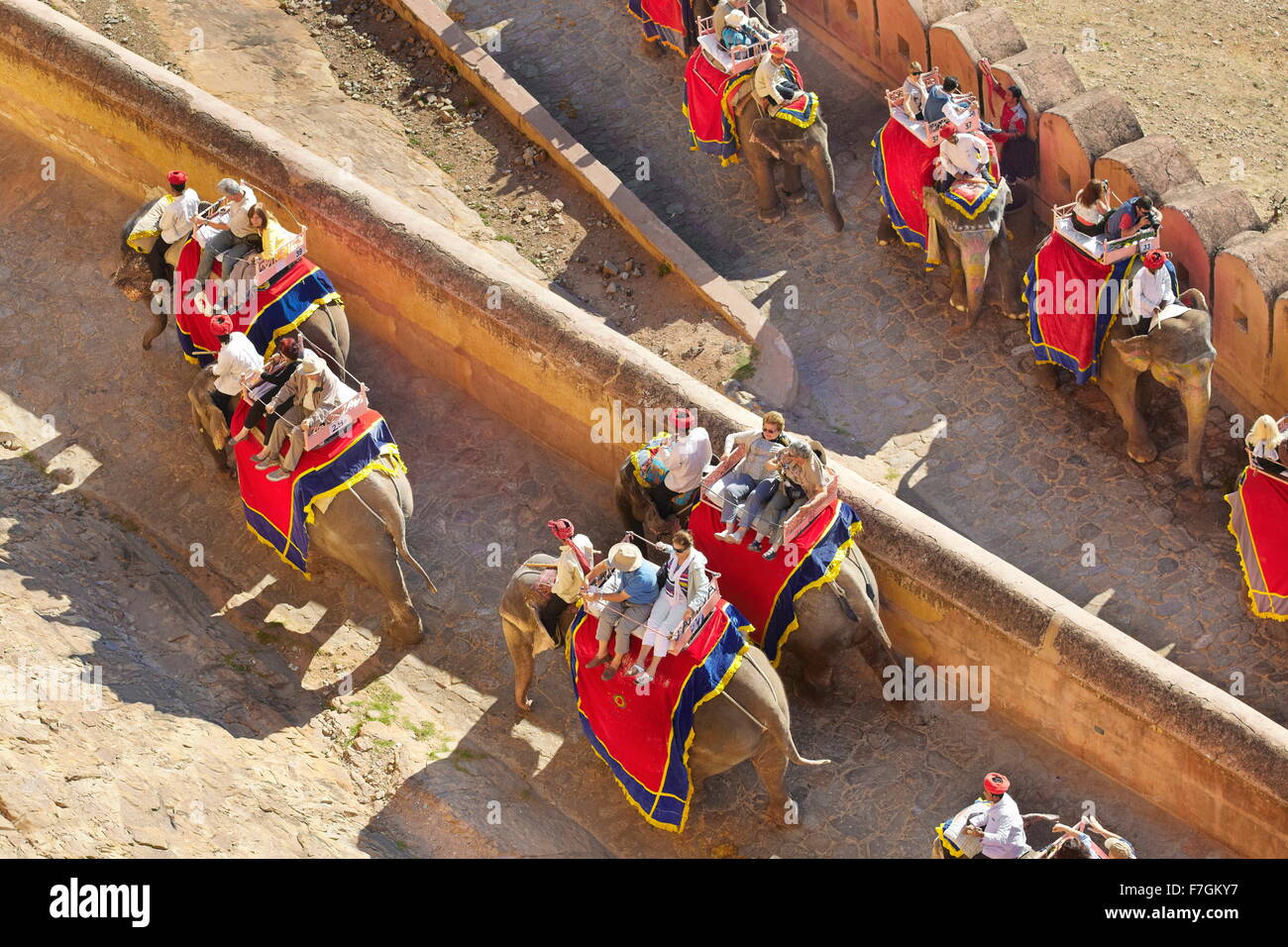 Elefanten, die Touristen auf das Amber Fort in Jaipur, Rajasthan, Indien Stockfoto