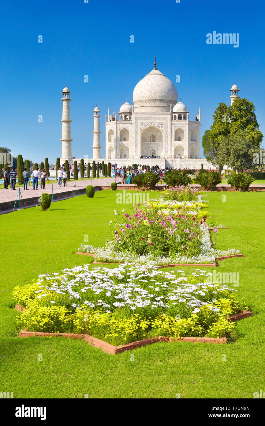 Taj mahal blumen Fotos und Bildmaterial in hoher Auflösung Alamy