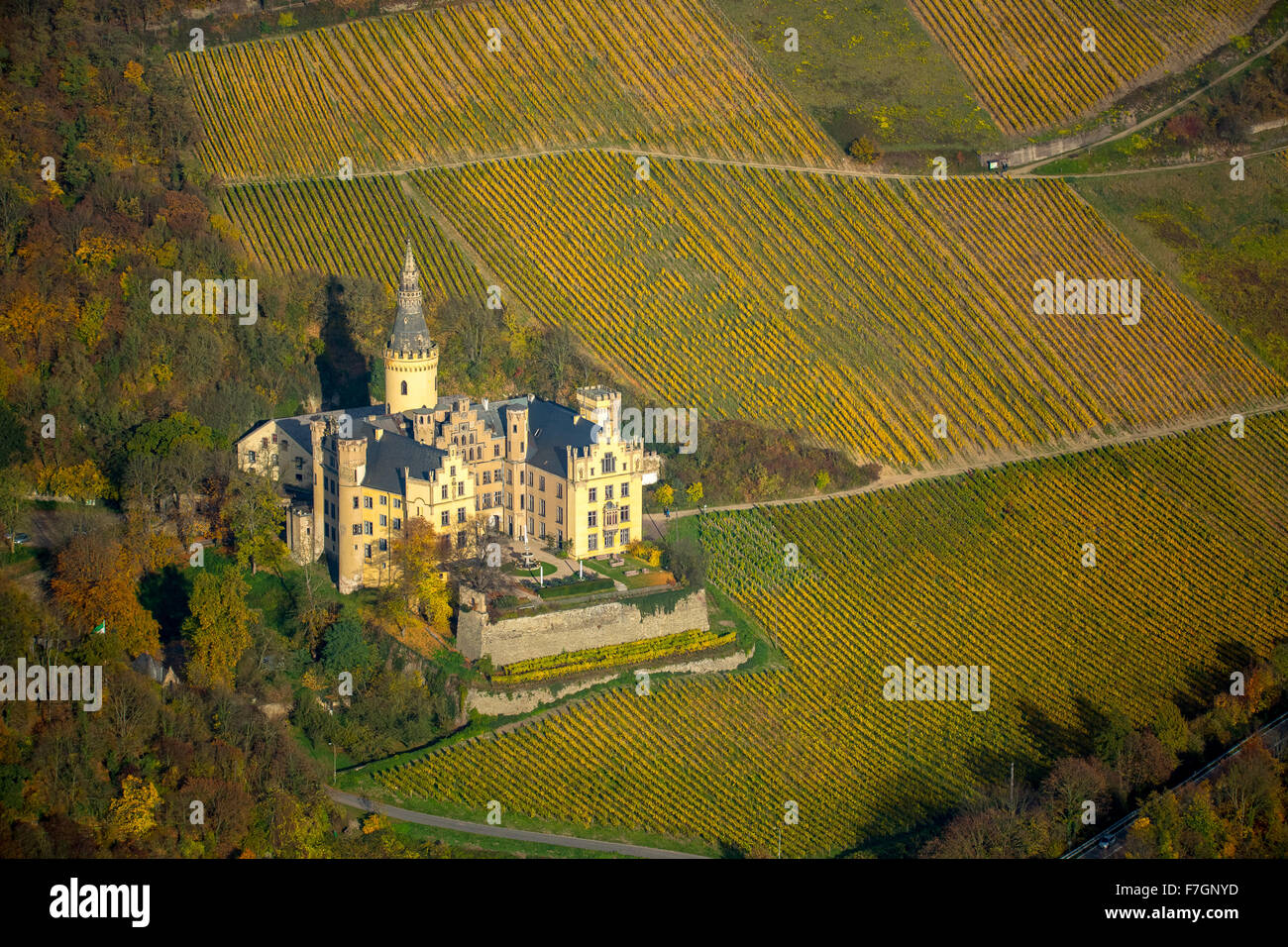 Weinberge im Herbst, Weinblätter, Ernte spät Arenfels Castle, im Besitz von Baron Antonius Geyr von Schweppenburg, Bad Breisig, Stockfoto