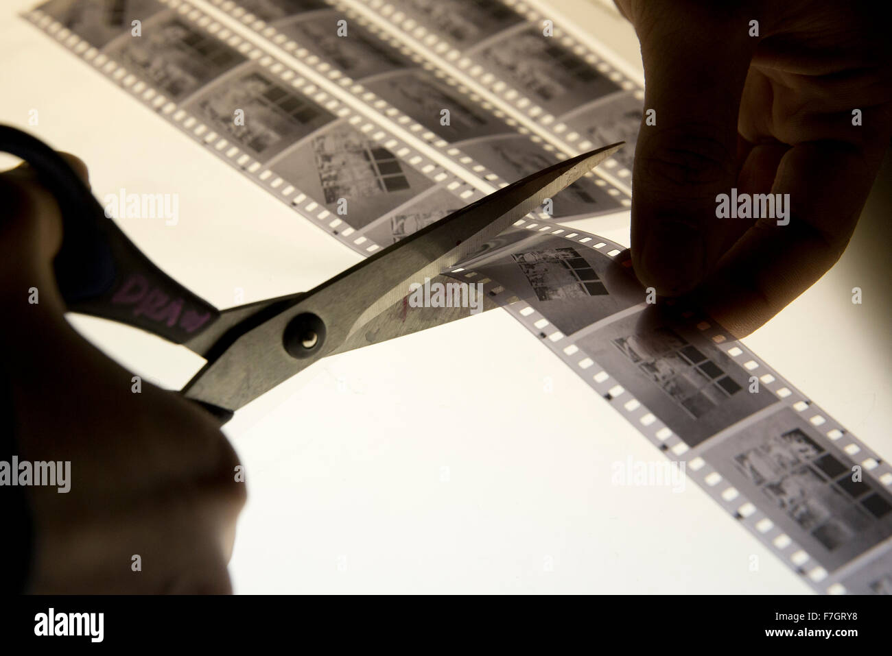 Schere schneiden Filmstreifen auf Leuchttisch Stockfoto