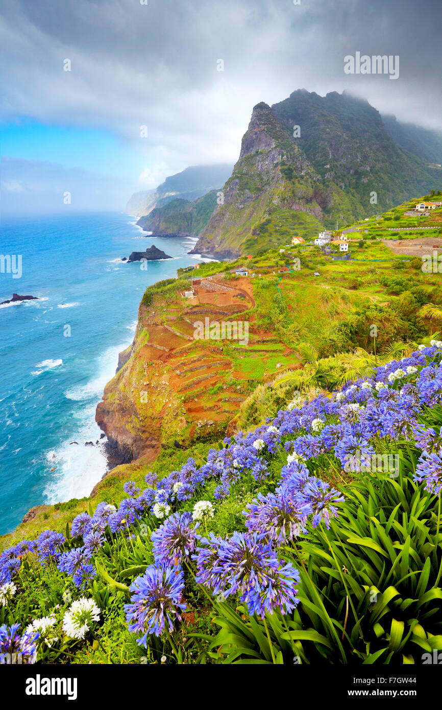 Madeira Landschaft Mit Blumen In Der Nahe Von Ponta Delgada Die Insel Madeira Portugal Stockfotografie Alamy