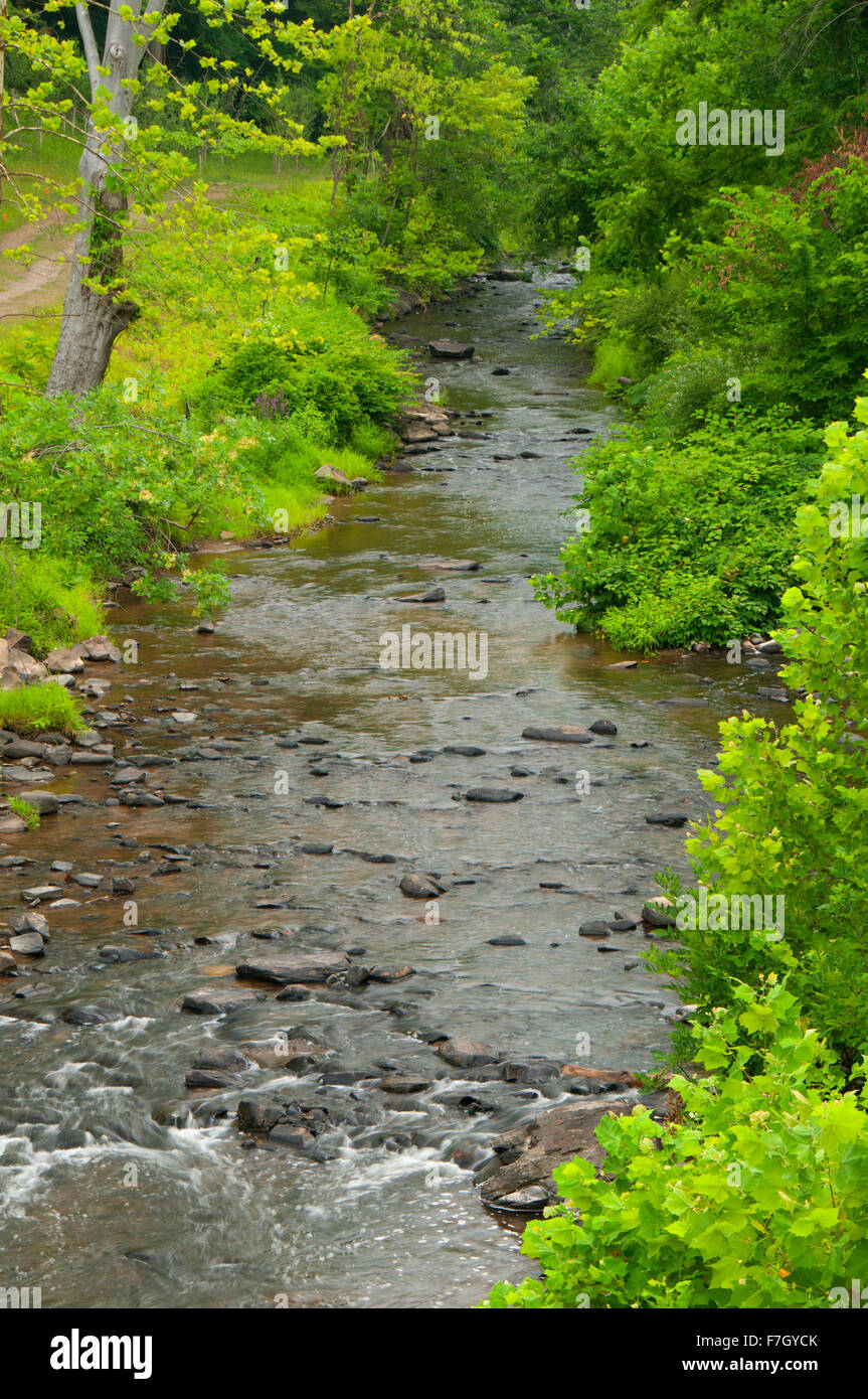 Little Patuxent River, Savage Park, Maryland Stockfoto