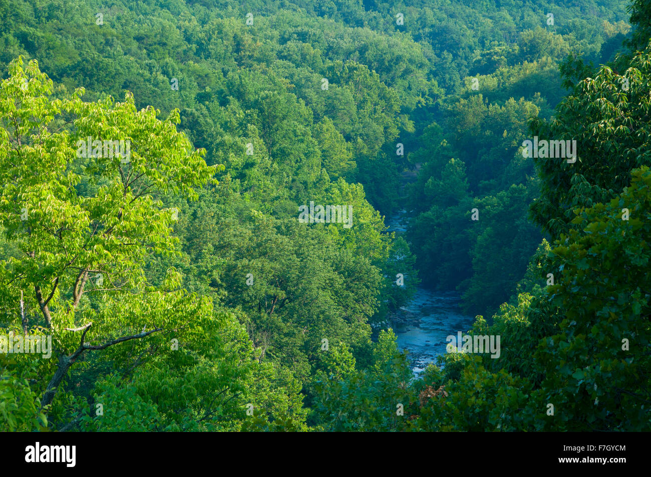 Patapsco Valley, Valley State Park in Baltimore, Maryland Stockfoto