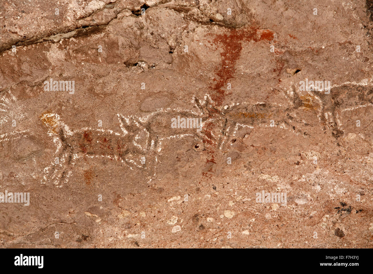 pr5408-D. Petroglyphen und Felszeichnungen von Santa Marta, die Menschen, Tiere darstellen (Hirsch, Kaninchen, Fisch, mehr). Baja, Mexiko. Stockfoto