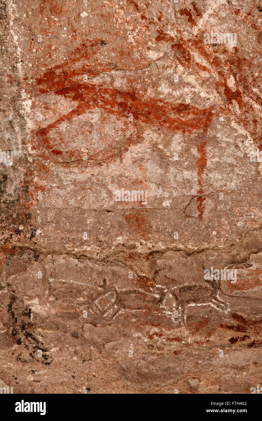 pr5410-D. Petroglyphen und Felszeichnungen von Santa Marta, die Menschen, Tiere (Rehe, Kaninchen, Fische, etc.) und vieles mehr, hier darstellen Stockfoto
