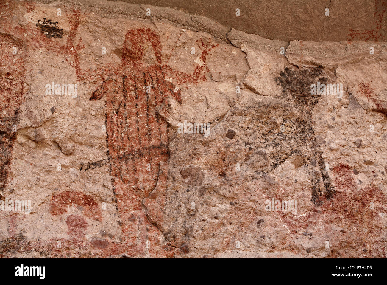 pr5428-D. Petroglyphen und Felszeichnungen von Santa Marta, die Menschen, Tiere darstellen (Hirsch, Kaninchen, Fisch, mehr). Baja, Mexiko. Stockfoto