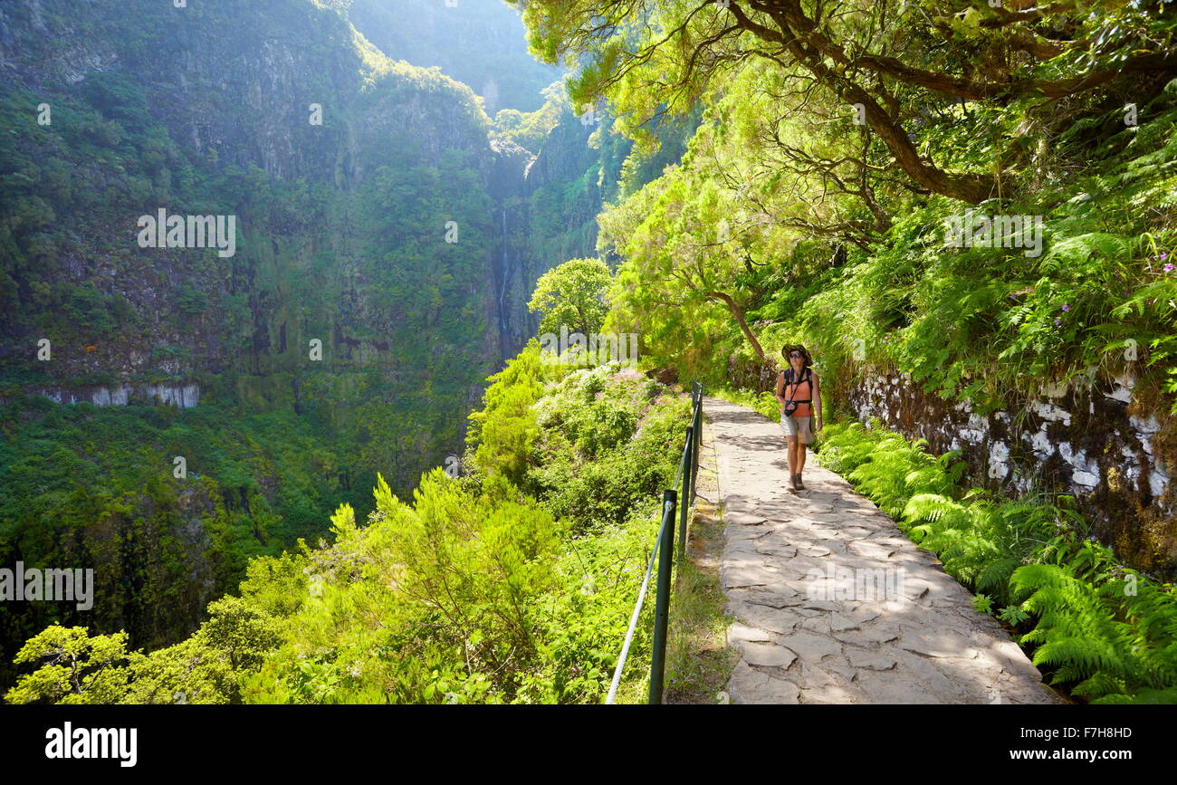 Levada Risco, beliebte Wanderweg in Rabacal, die Insel Madeira, Portugal Stockfoto