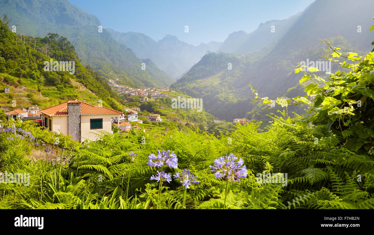Querformat in der Nähe von Santana, Insel Madeira, Portugal Stockfoto