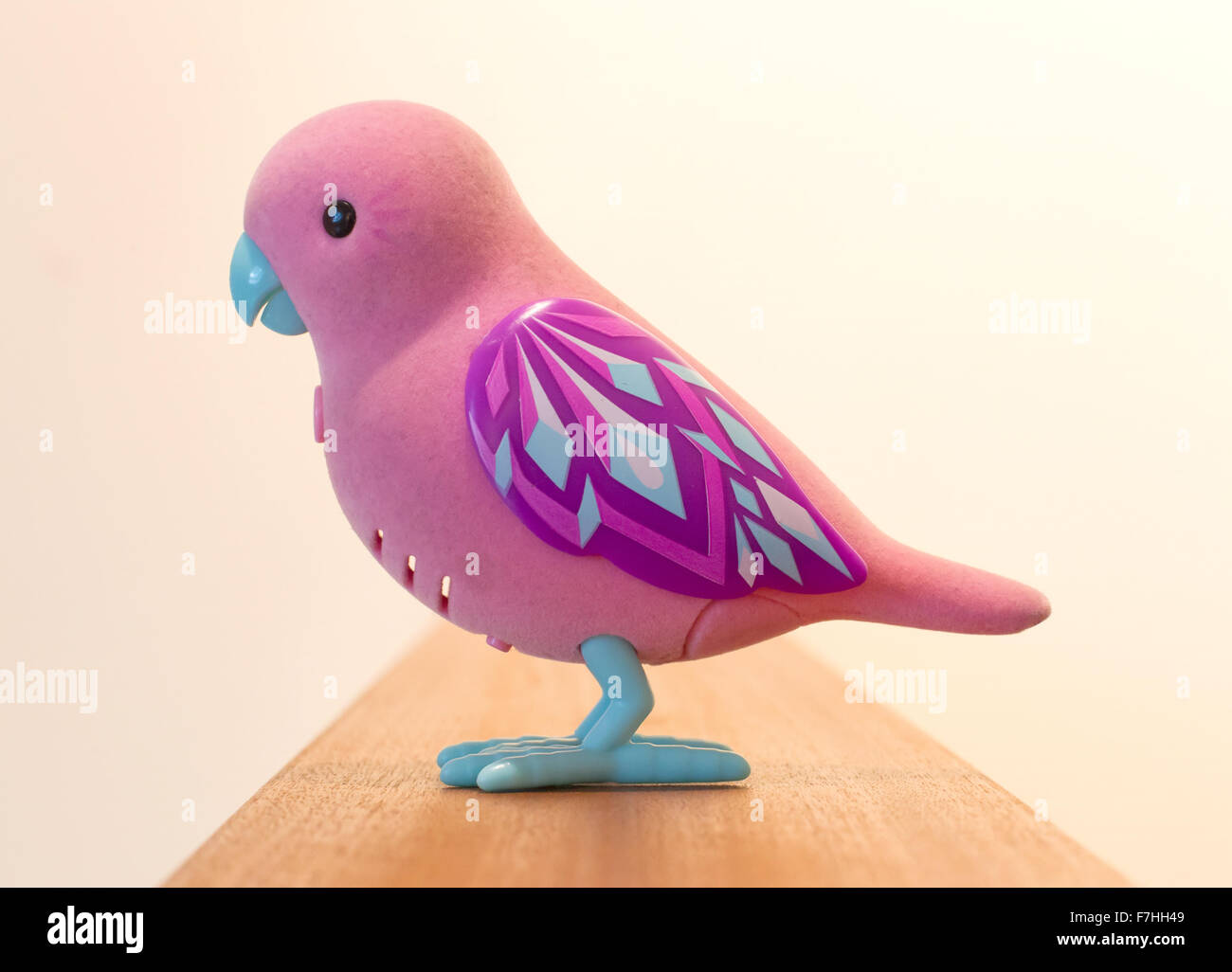 Mechanischer Vogel für Kinder, rosa Spielzeug isoliert Stockfotografie -  Alamy