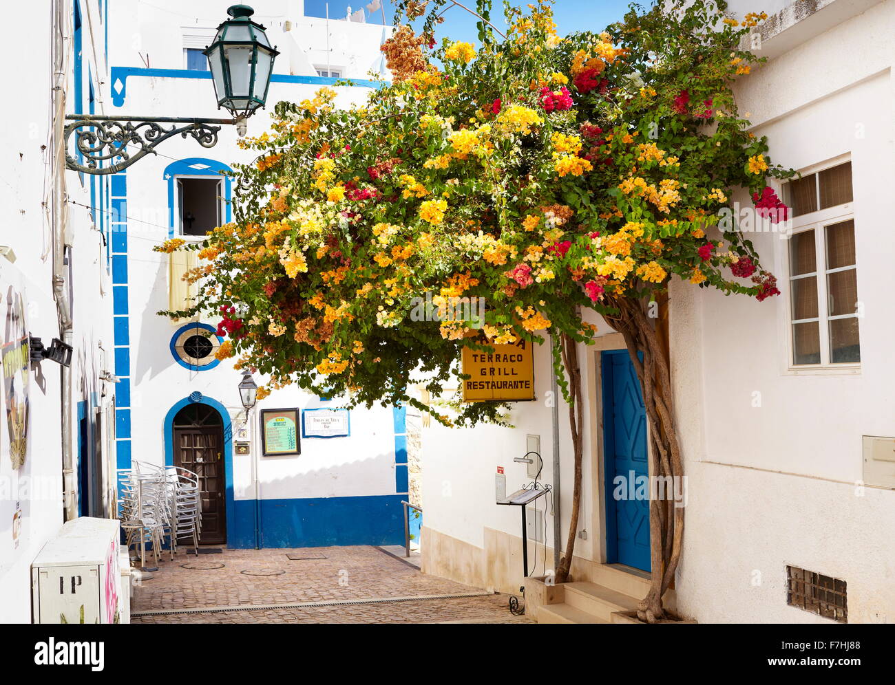 Blühende Blumen in Altstadt von Albufeira, Algarve, Portugal Stockfoto