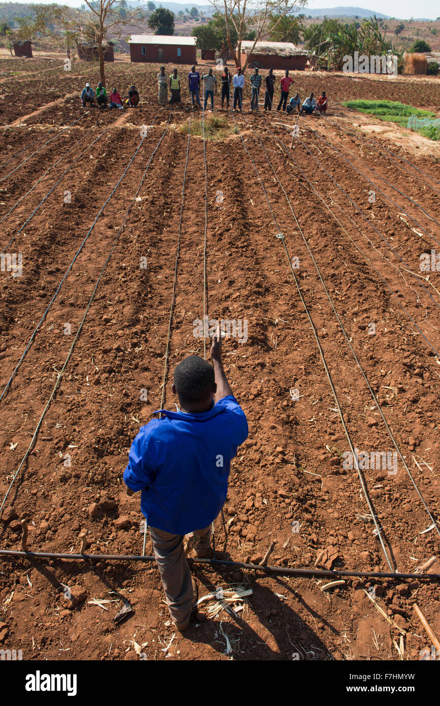 MALAWI, Dorf Zingiziwa, Installation der Tröpfchenbewässerung System für kleine Bauern Stockfoto