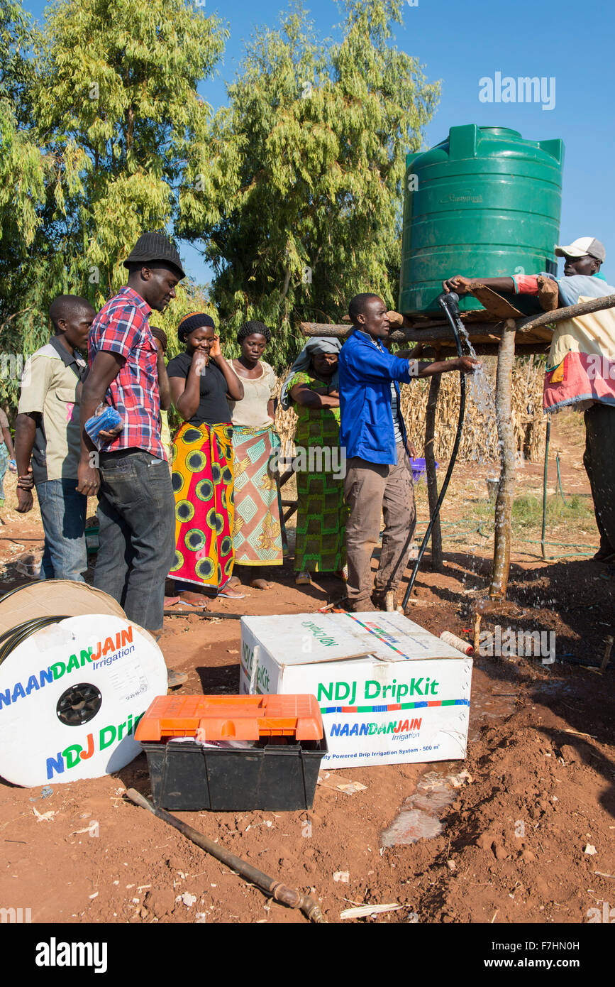 MALAWI, Dorf Zingiziwa, Installation der Tröpfchenbewässerung System für kleine Bauern Stockfoto