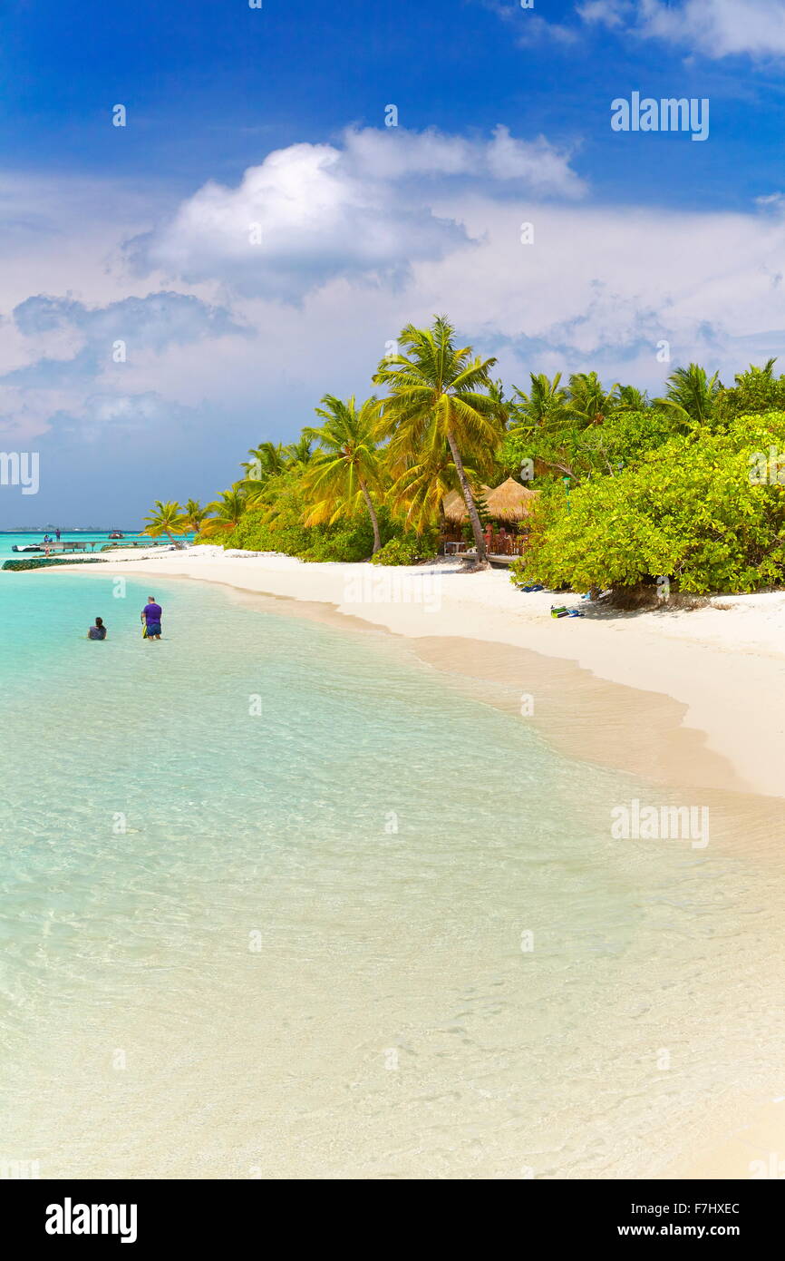 Malediven-Inseln, tropischen Strand auf dem Ari-Atoll Stockfoto