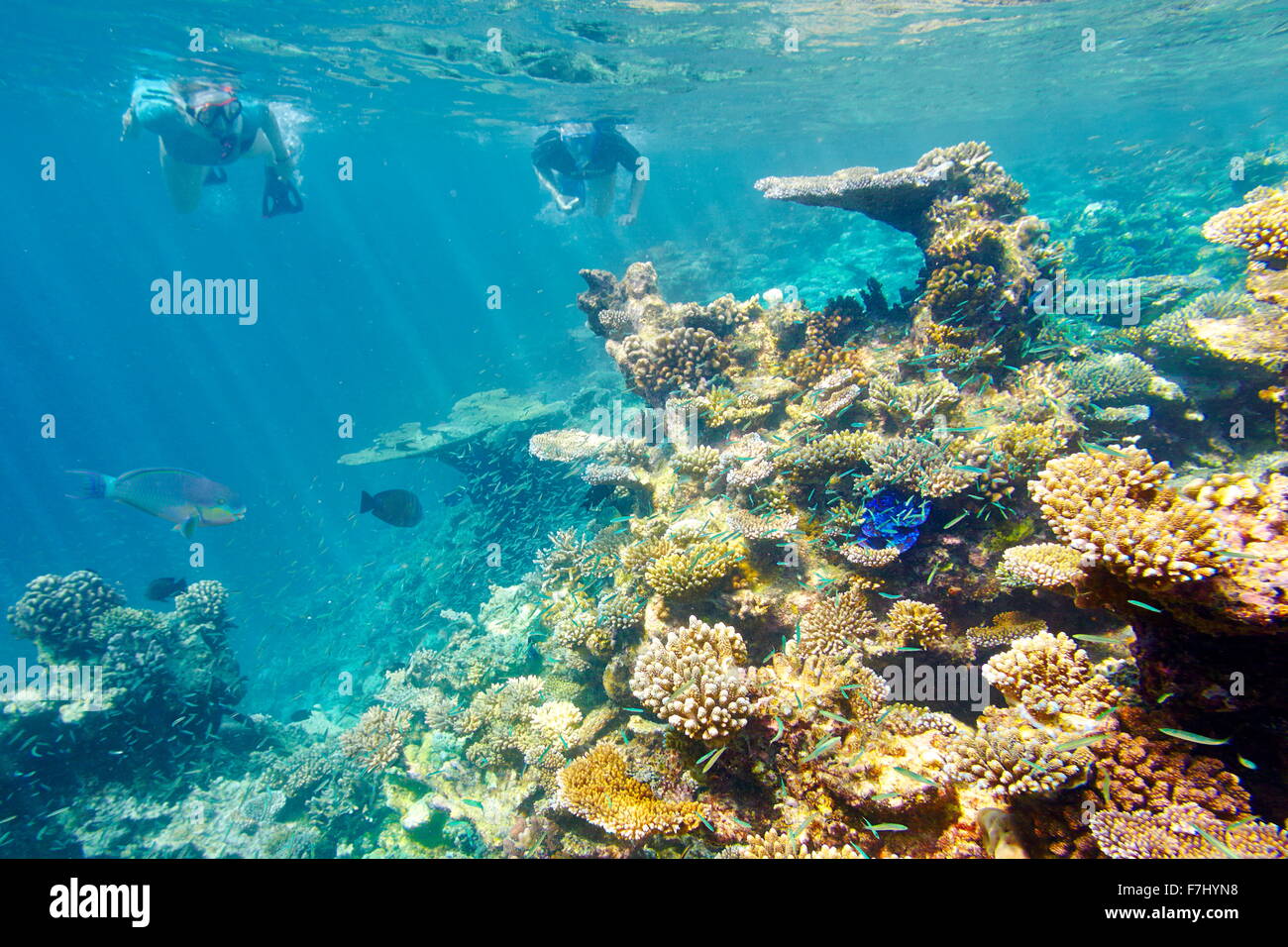 Malediven, Unterwasser-Blick am Riff und Schnorcheln Touristen Stockfoto