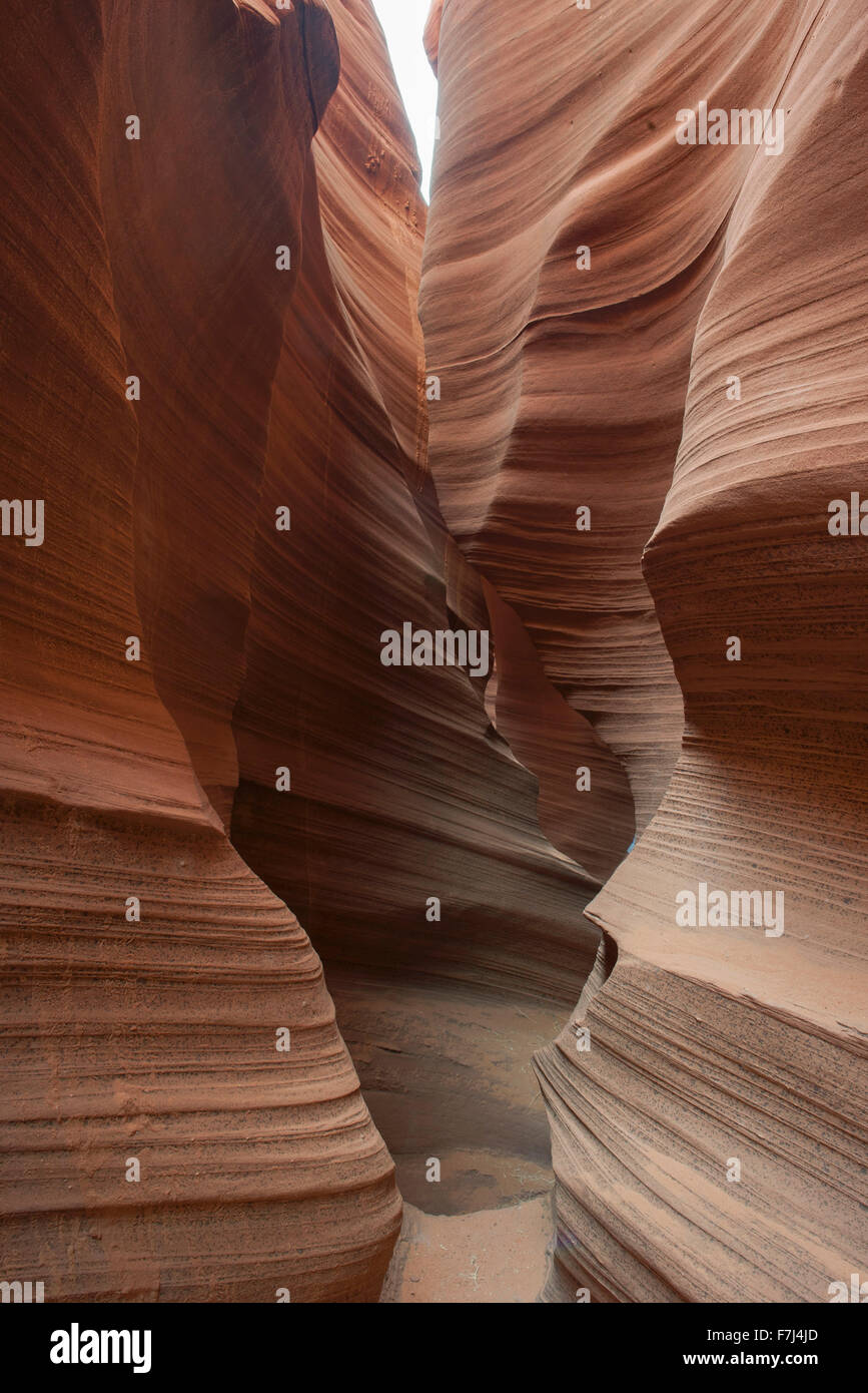 Schön verwirbelt Sandstein Mauern im Rattlesnake Canyon, Arizona, USA Stockfoto