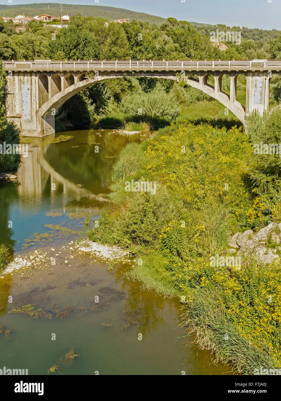 Brückenneubau Besalú mit Blumen-Katalonien-Spanien Stockfoto