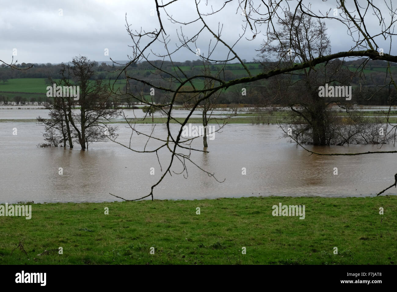 Whitney-on-Wye, Herefordshire, England. 1. Dezember 2015. Der Fluss Wye Hochwasser nach dem Bersten der Flussufer zwischen Hay-on-Wye und Hereford Felder neben Überschwemmungen. Stockfoto