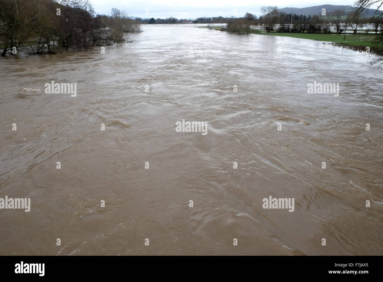 Whitney-on-Wye, Herefordshire, England. 1. Dezember 2015. Der Fluss Wye Hochwasser nach dem Bersten der Flussufer zwischen Hay-on-Wye und Hereford Felder neben Überschwemmungen. Die schnelle fließende Fluss erscheint hier fließt östlich in Richtung stromabwärts Hereford. Stockfoto