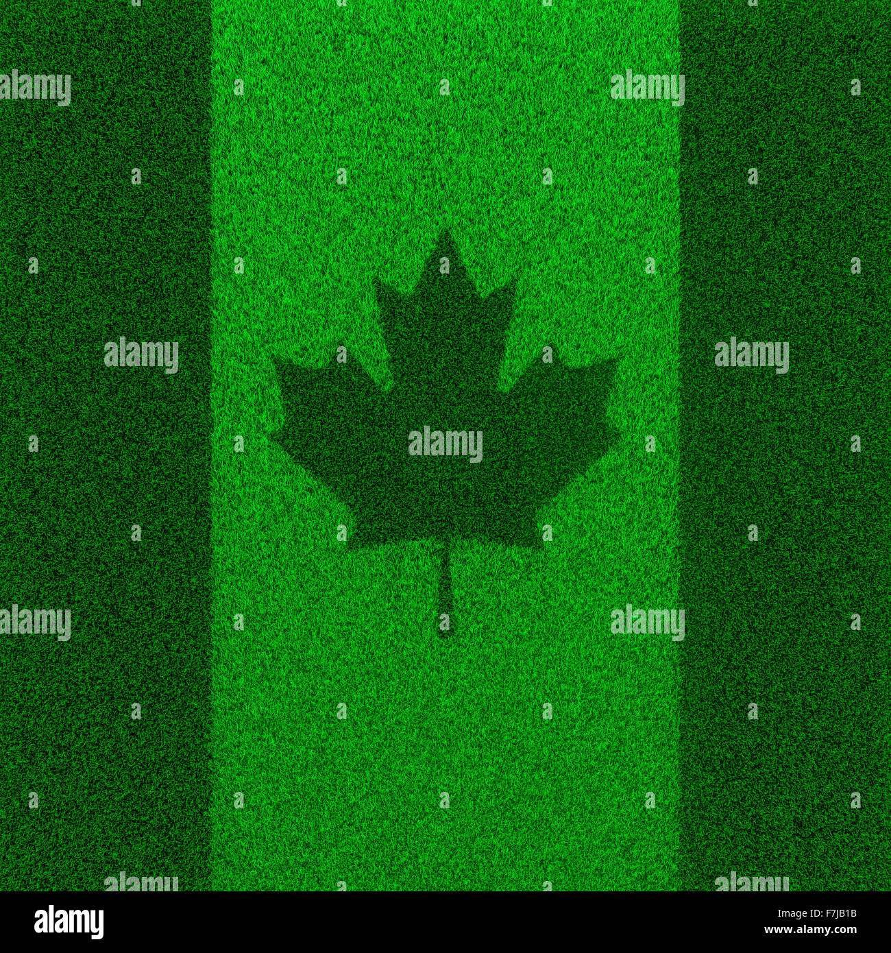 Grass Flagge Kanada / 3D Render der kanadischen Flagge von Grass gewachsen Stockfoto