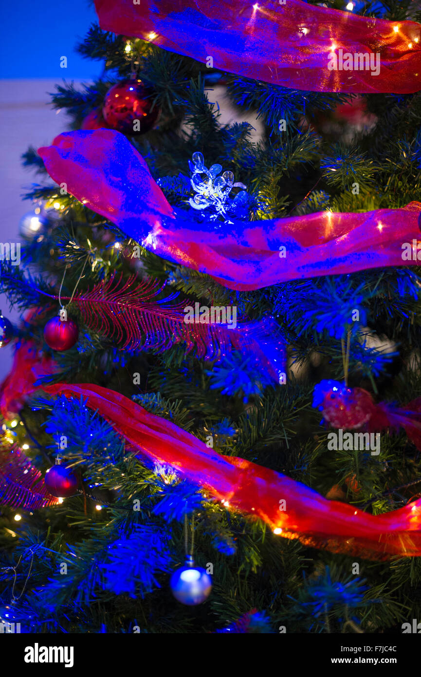 Weihnachtsbaum in der Nähe Detail Stockfoto