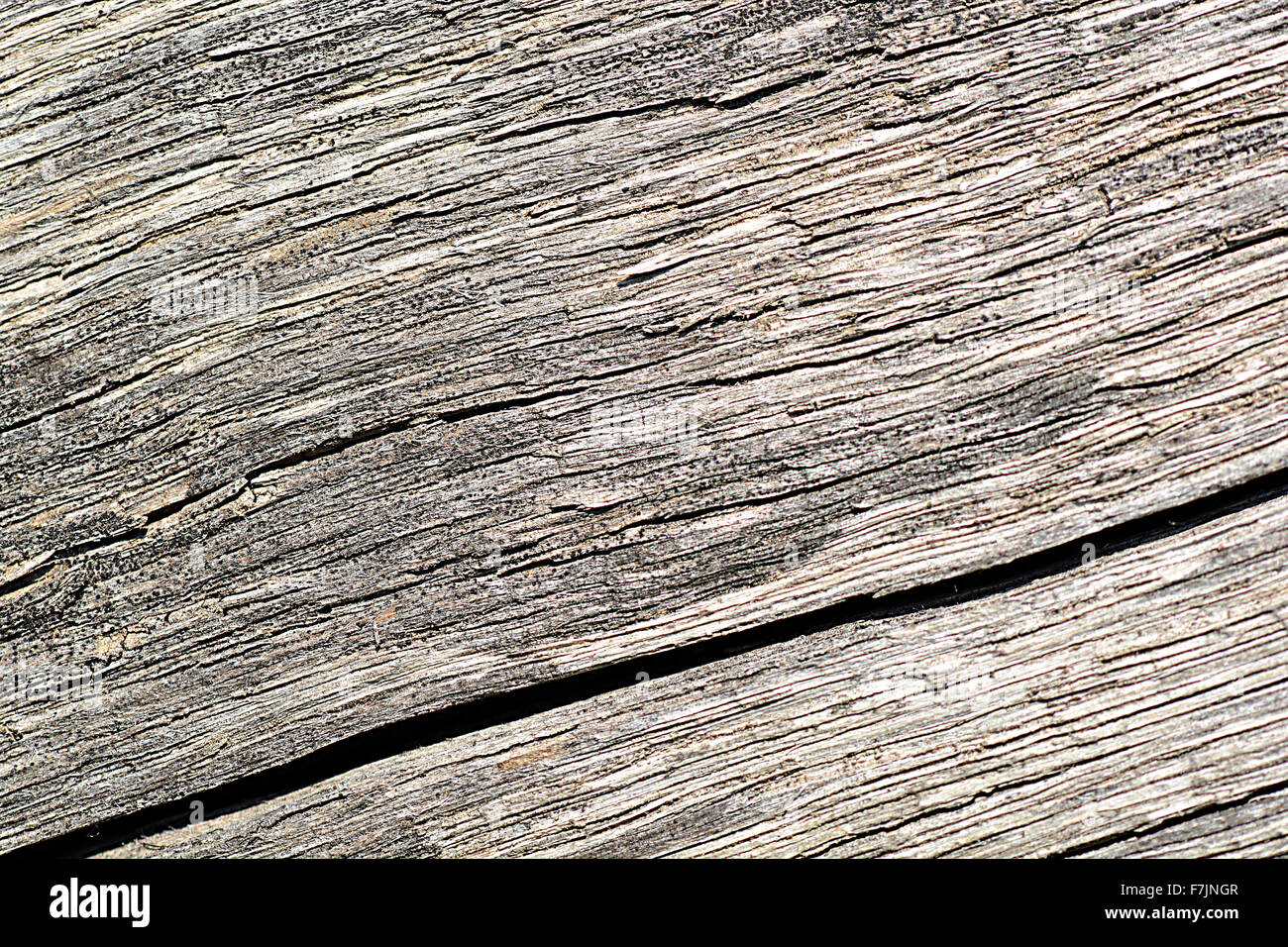 Holzbohle Textur, Hintergrund Stockfoto