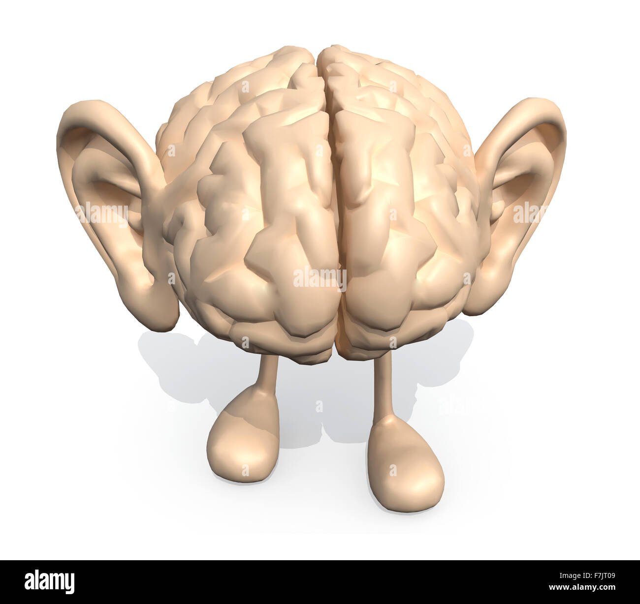 menschlichen Gehirns mit großen Ohren und Beine, 3d illustration Stockfoto