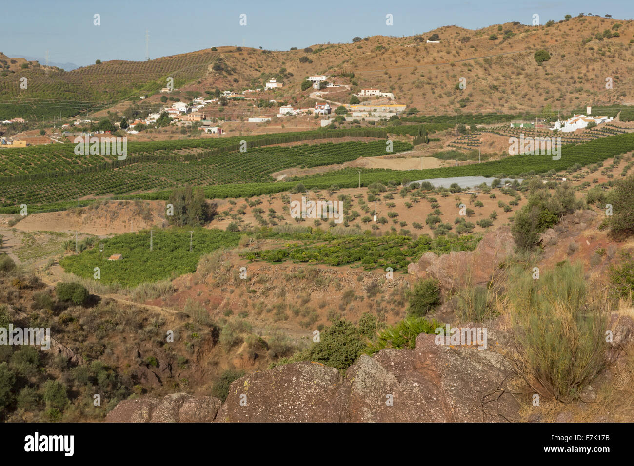 in der Nähe von Almogia, Provinz Malaga, Andalusien, Südspanien.  Landwirtschaft.  Zitrusfrucht-Obstgärten. Bauernhäuser. Stockfoto
