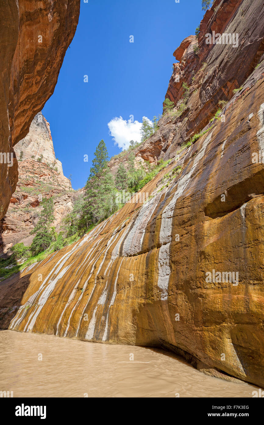 Virgin River Narrows im Zion Nationalpark, Utah, USA. Stockfoto