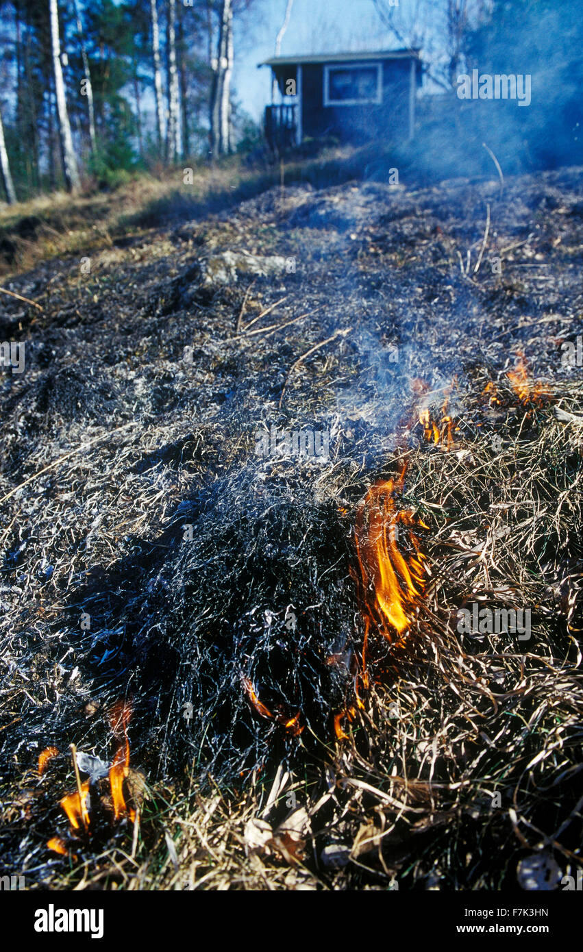 Grass in Brand Stockfoto