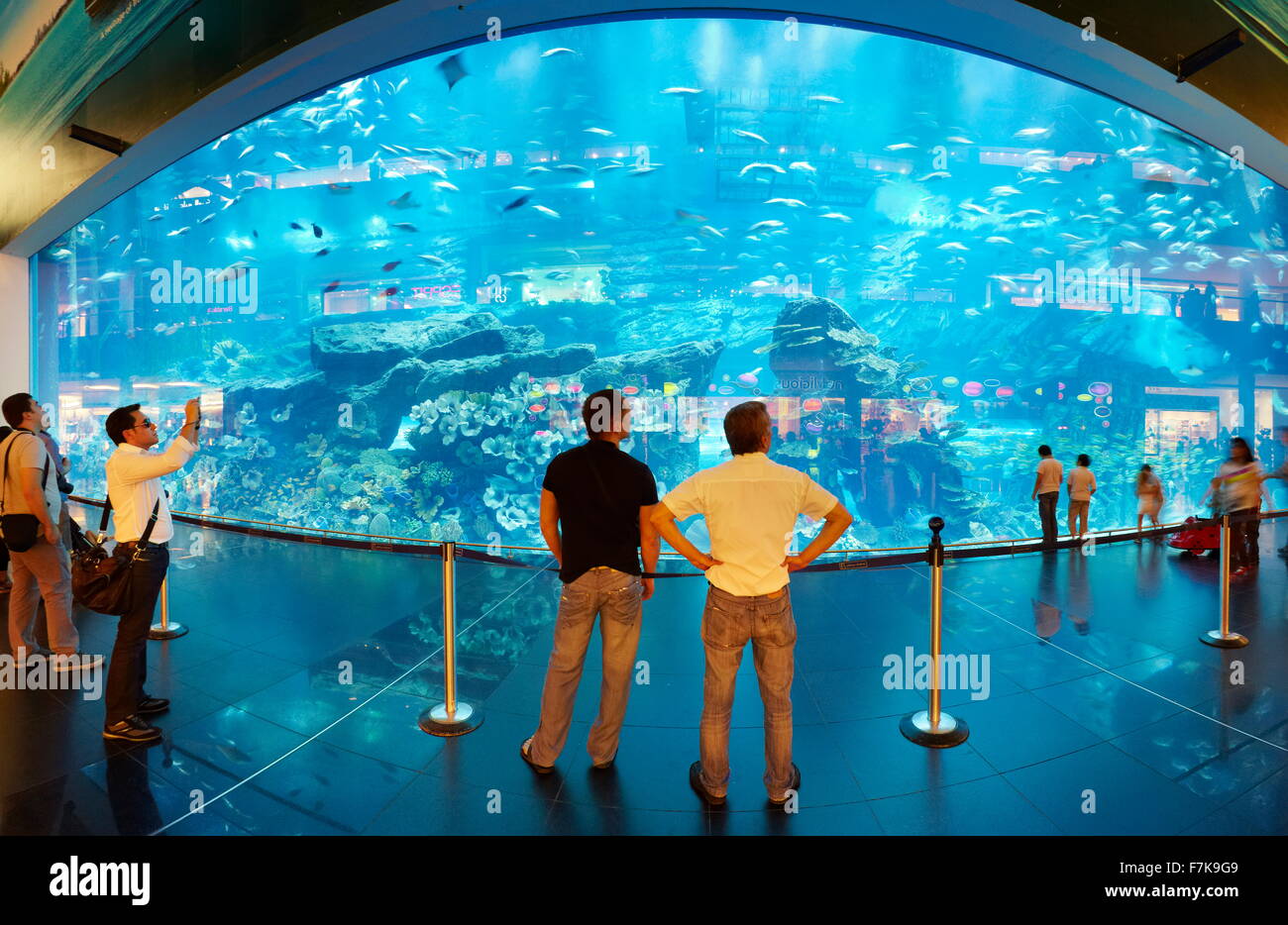 Die Dubai Mall Aquarium, Dubai, Vereinigte Arabische Emirate, Naher Osten Stockfoto