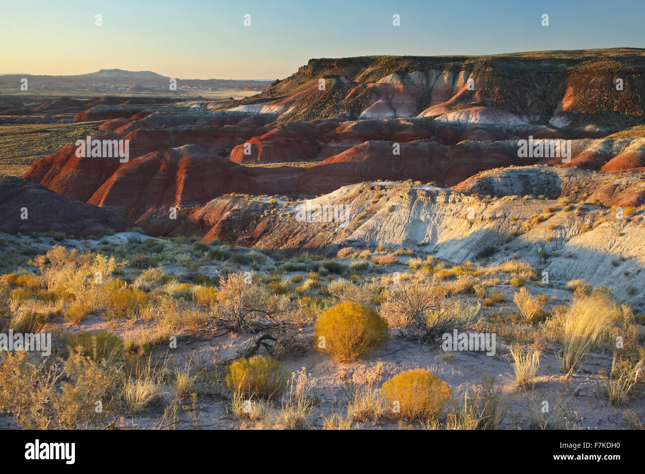 Wüste Sträucher und farbenfrohen Badlands, Painted Desert, Petrified Forest National Park, Arizona USA Stockfoto