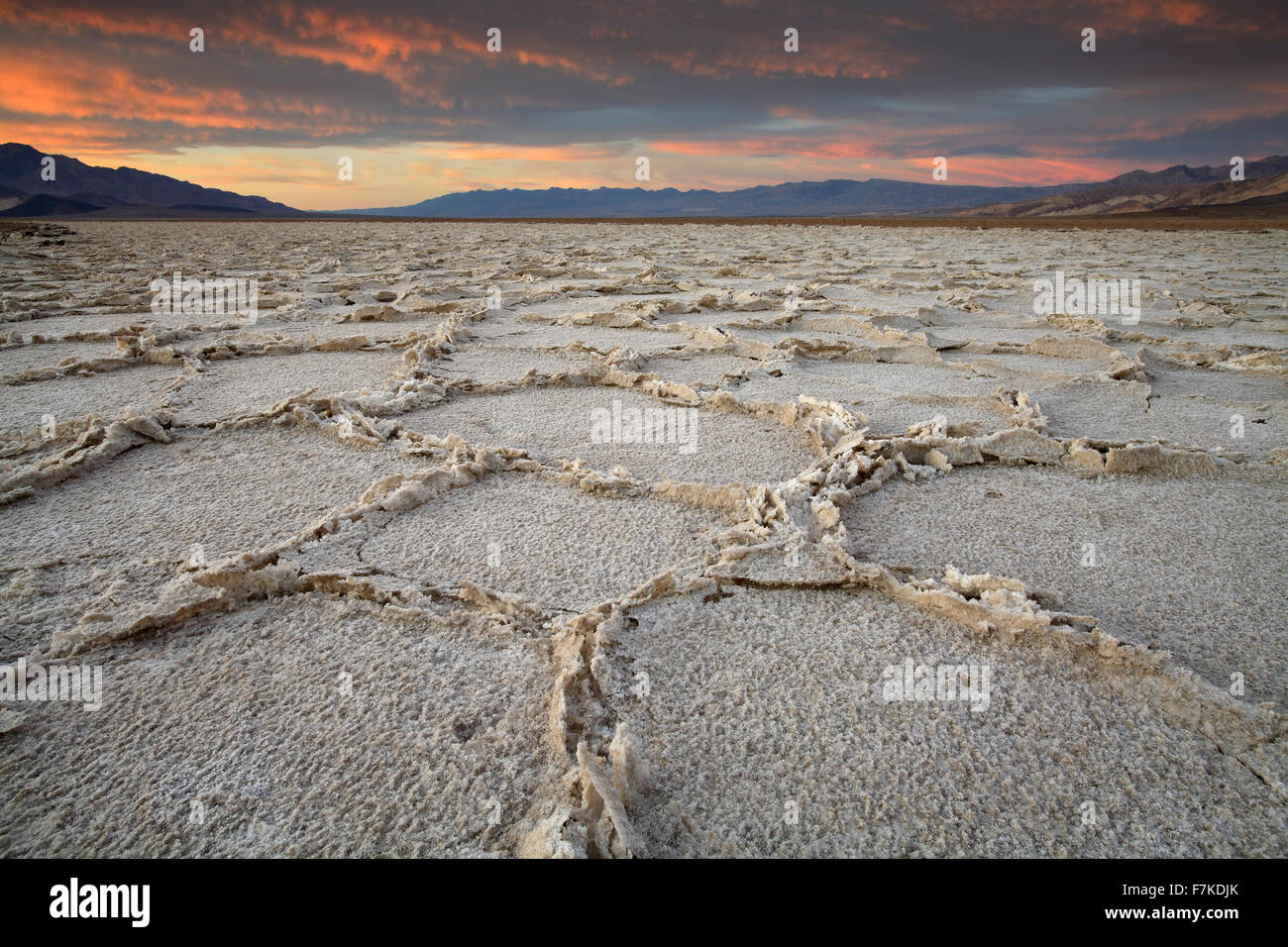 Salinen bei Sonnenuntergang, Badwater Basin, Death Valley Nationalpark, Kalifornien USA geknackt Stockfoto