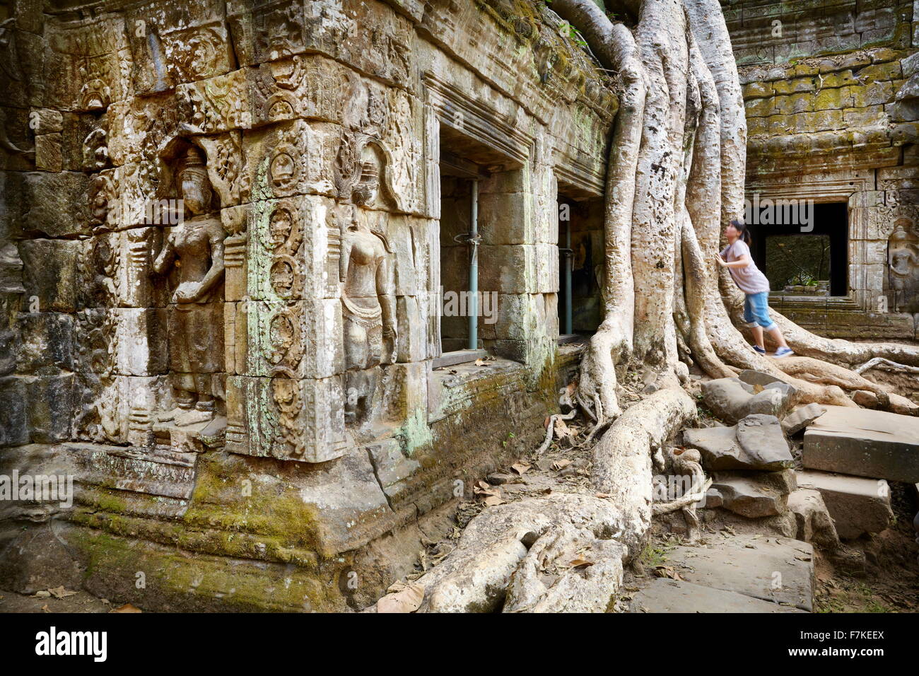 Ruinen der Tempel Ta Prohm, Angkor, Kambodscha, Asien Stockfoto