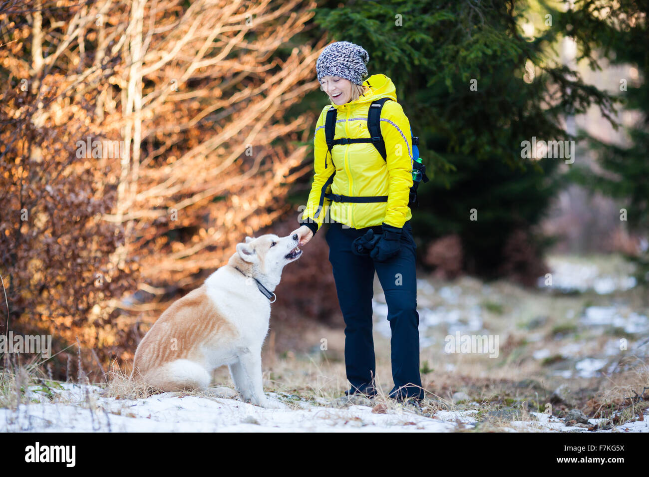 Frau im weißen Winterwald mit Akita Hund Wald wandern. Erholung, Fitness und gesunde Lebensweise im Freien in der Natur. Stockfoto