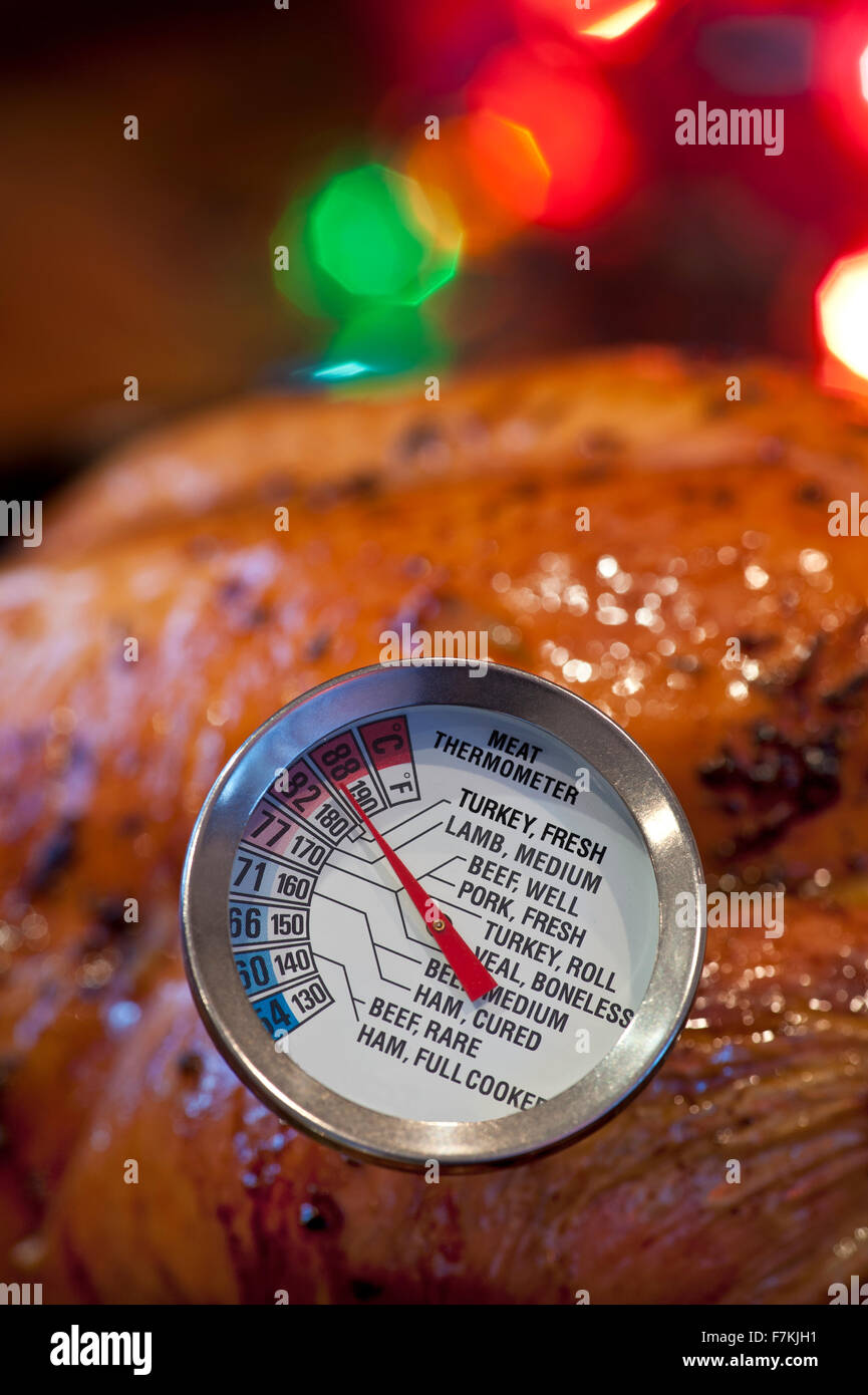 TRUTHAHN WEIHNACHTEN Kochthermometer mit der empfohlenen idealen Temperatur für gebratenen Truthahn... Weihnachtsbeleuchtung im Hintergrund Stockfoto