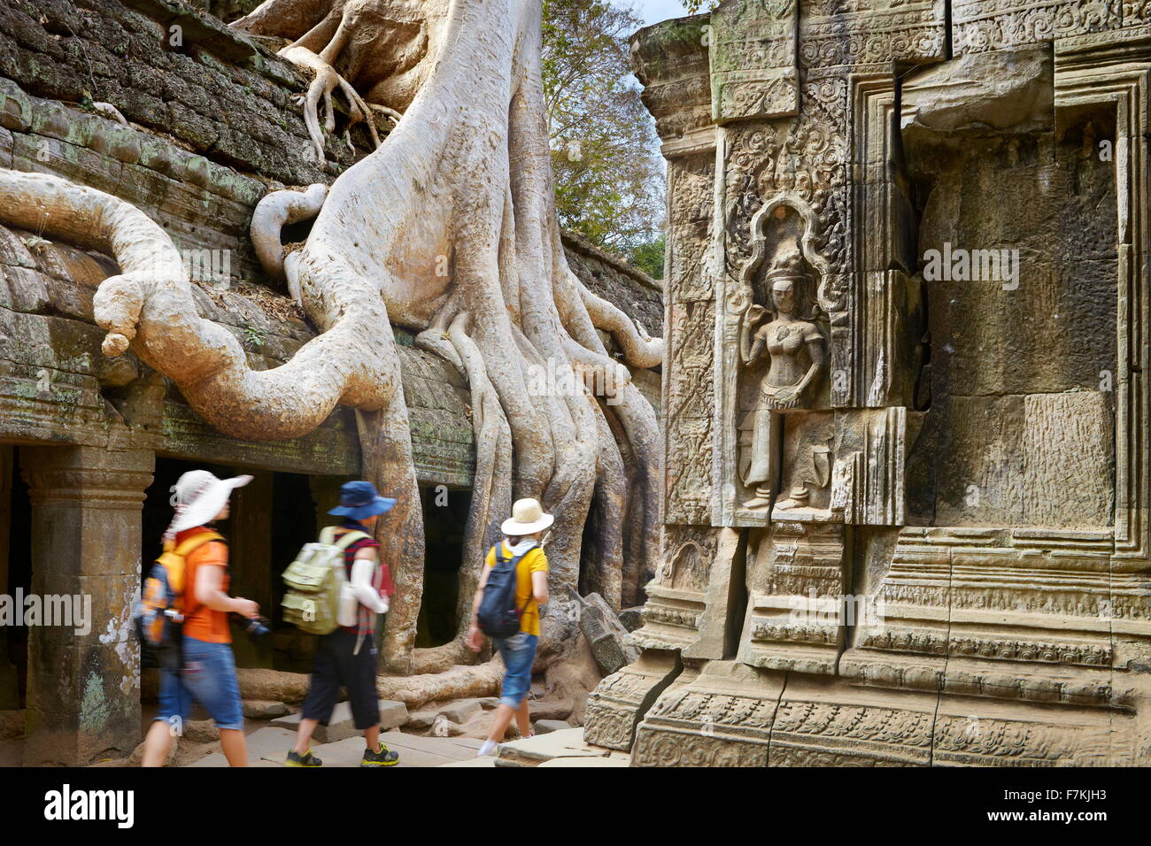 Ta Prohm Tempel in der Nähe von Angkor Wat, Angkor, Siem Reap, Kambodscha, Asien Stockfoto