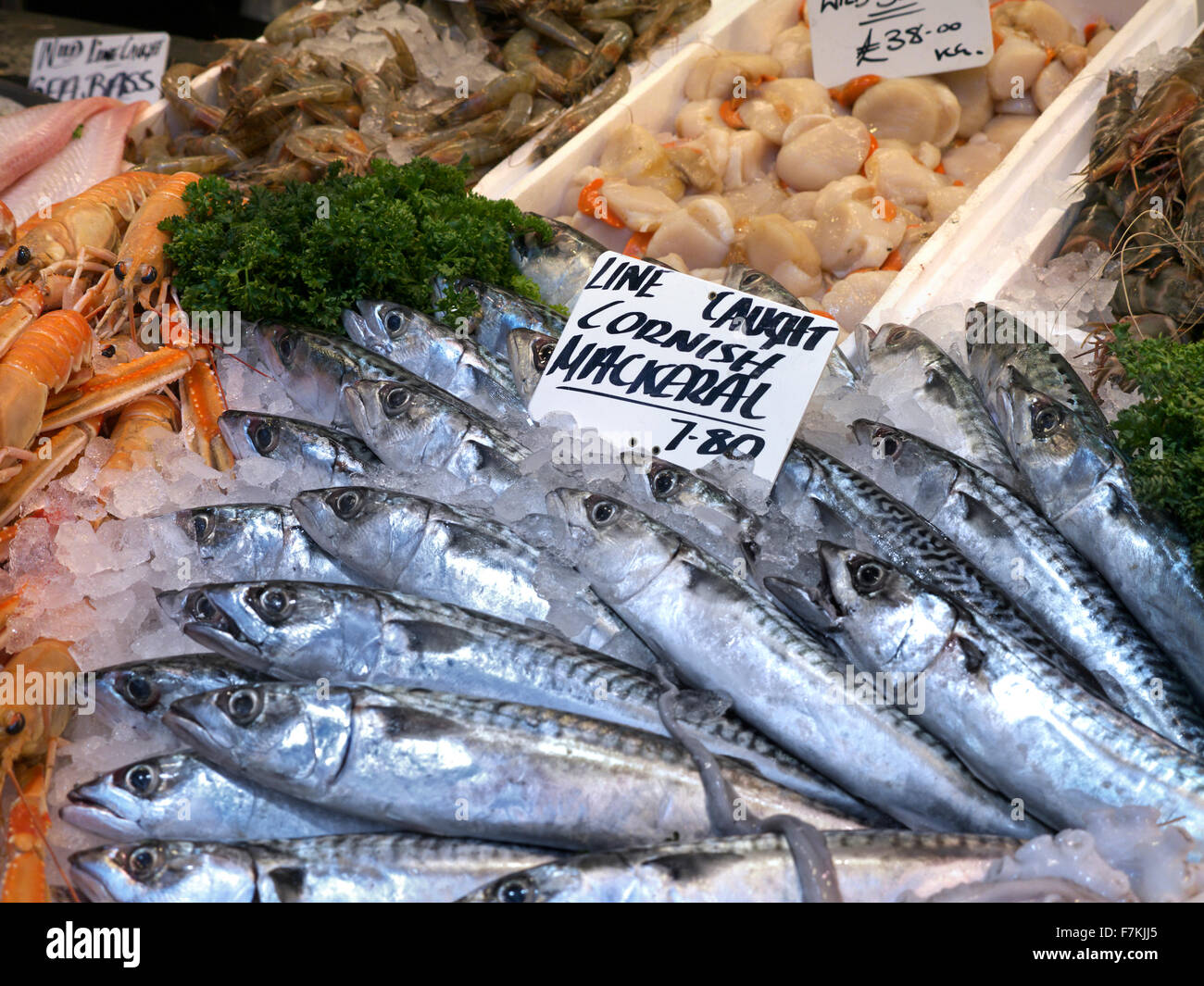 MAKRELE Line fing britischen Makrelenfisch aus Cornish auf dem Fischhändlerstand Borough Market Southwark London UK Stockfoto