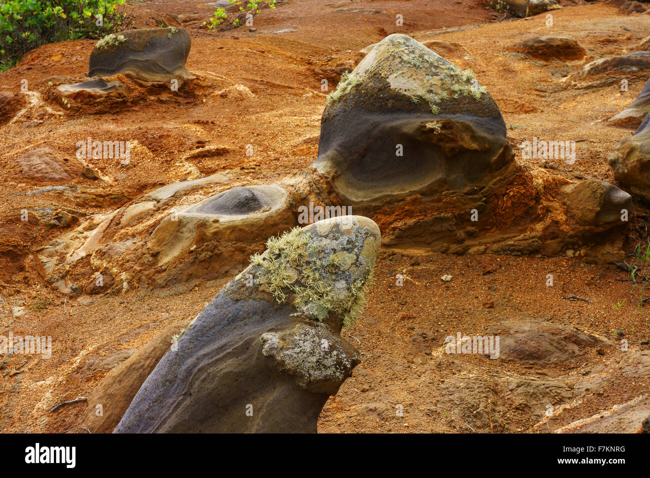 Erodieren Vulkangestein auf Cumbre de Chijeré, Insel La Gomera, Kanarische Inseln, Spanien Stockfoto