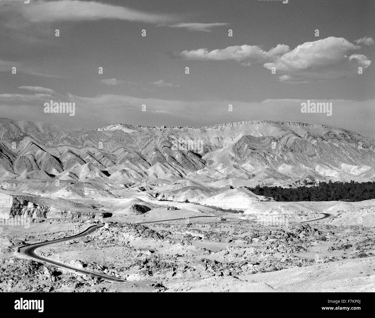 Eine Palmeraie füllt die Landschaft in der Region Gafsa Südtunesiens in der Nähe von Chitri. Tunesien. Nordafrika. Stockfoto