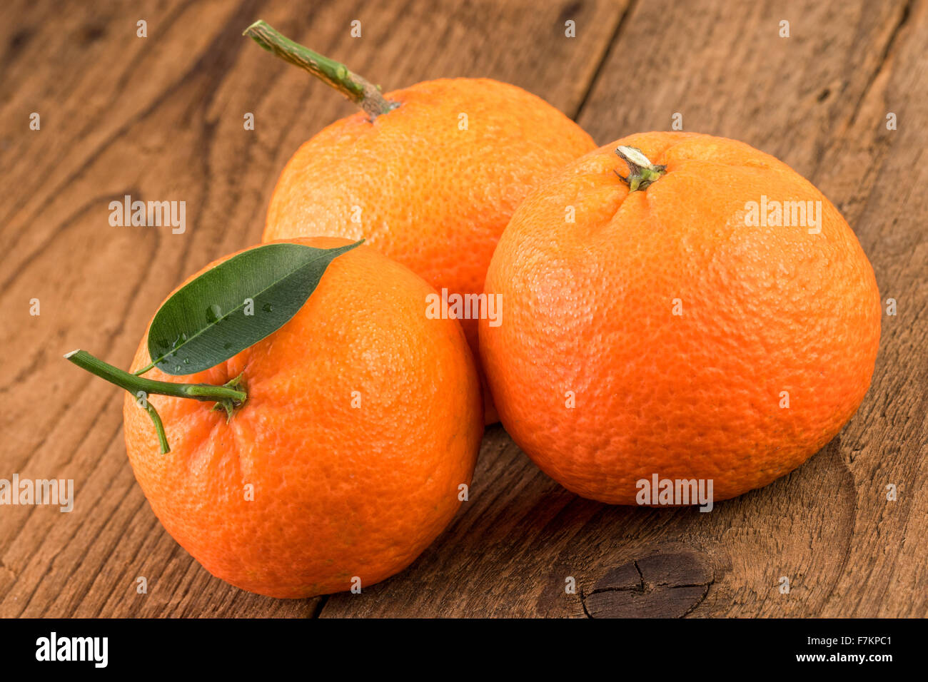 Mandarinen in Nahaufnahme Stockfoto