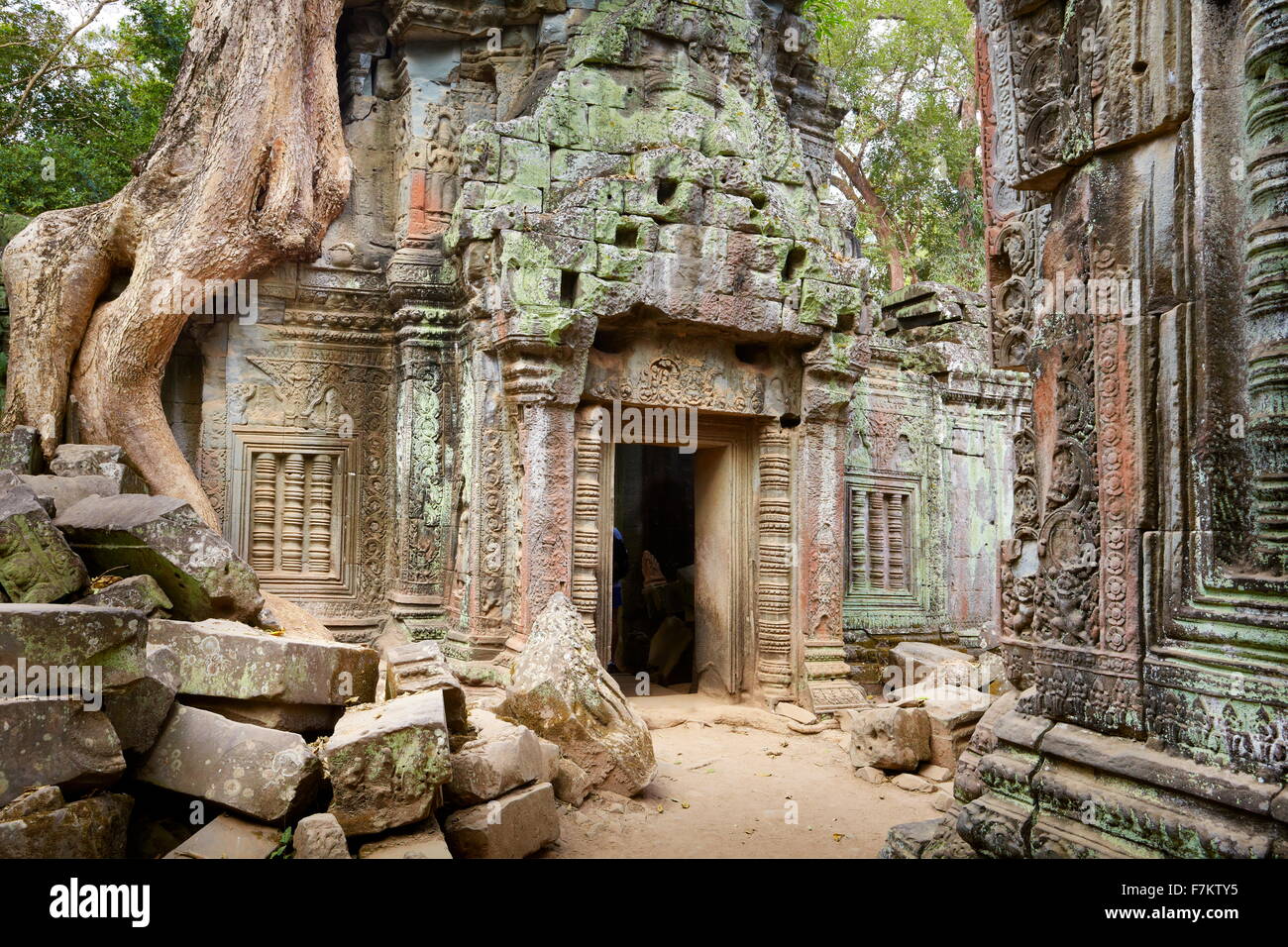Ta Prohm Tempel, Angkor, Kambodscha, Asien Stockfoto