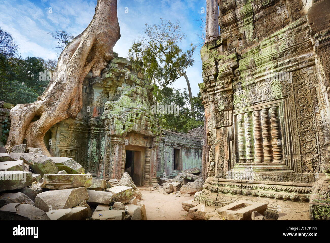 Ruinen der Tempel Ta Prohm, Angkor, Kambodscha, Asien Stockfoto