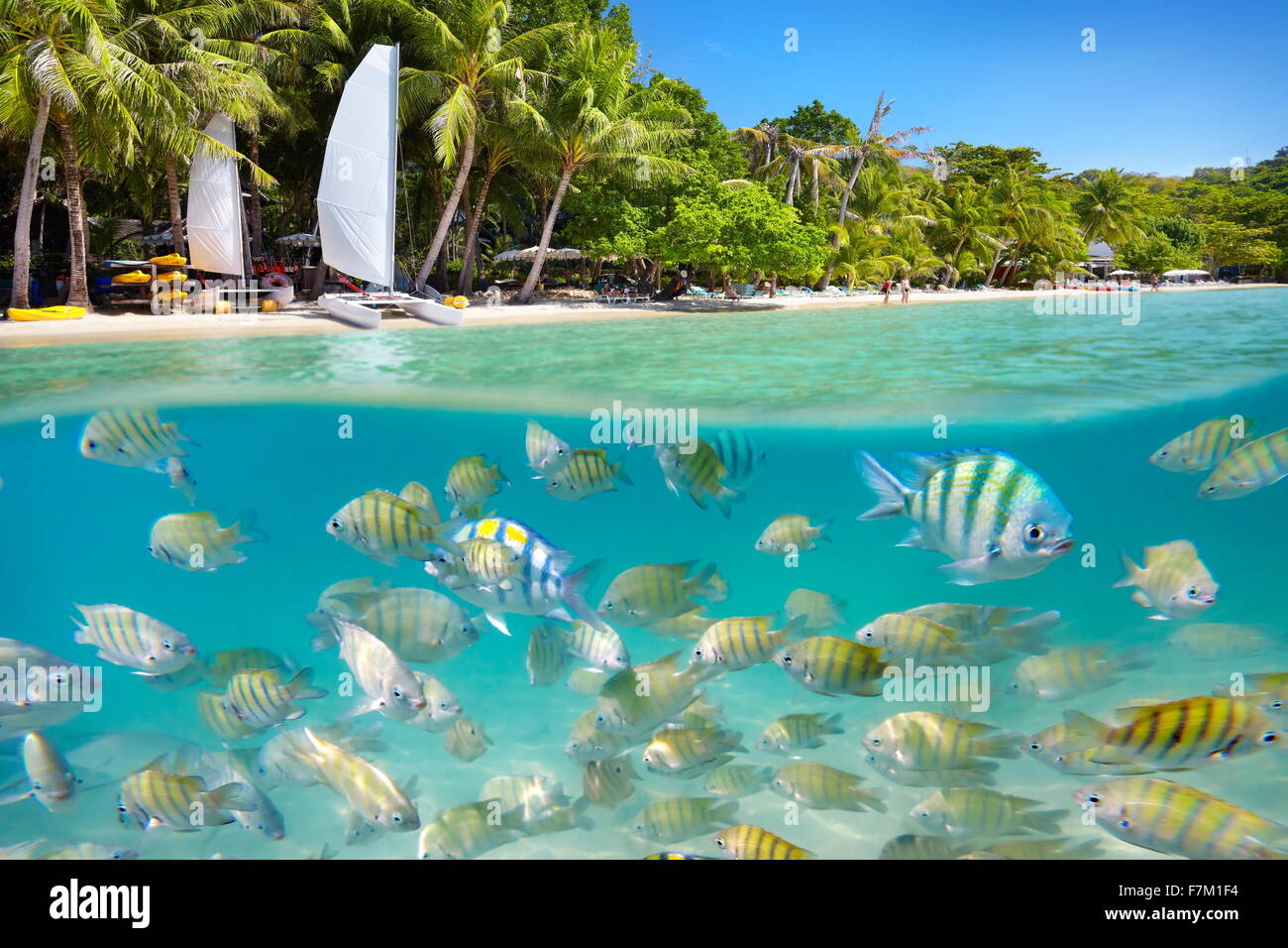 Thailand - tropischen Strand und Unterwasser Meerblick mit Fischen auf Ko Samet Insel, Thailand, Asien Stockfoto