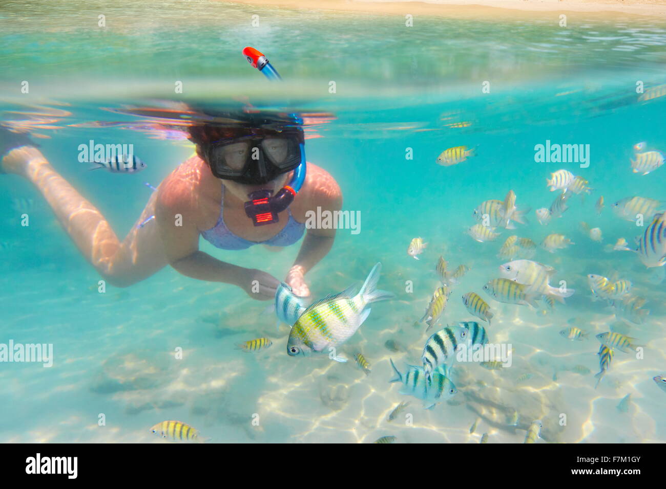 Unterwasser Meerblick, Schnorcheln Frau und Fisch, Ko Samet Insel, Thailand, Asien Stockfoto