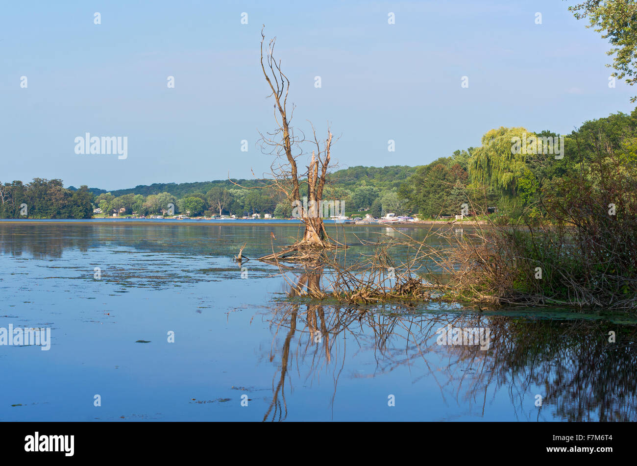 Whitewater See und bewaldeten Ufer vom Natureland Park außerhalb Wildwasser-wisconsin Stockfoto