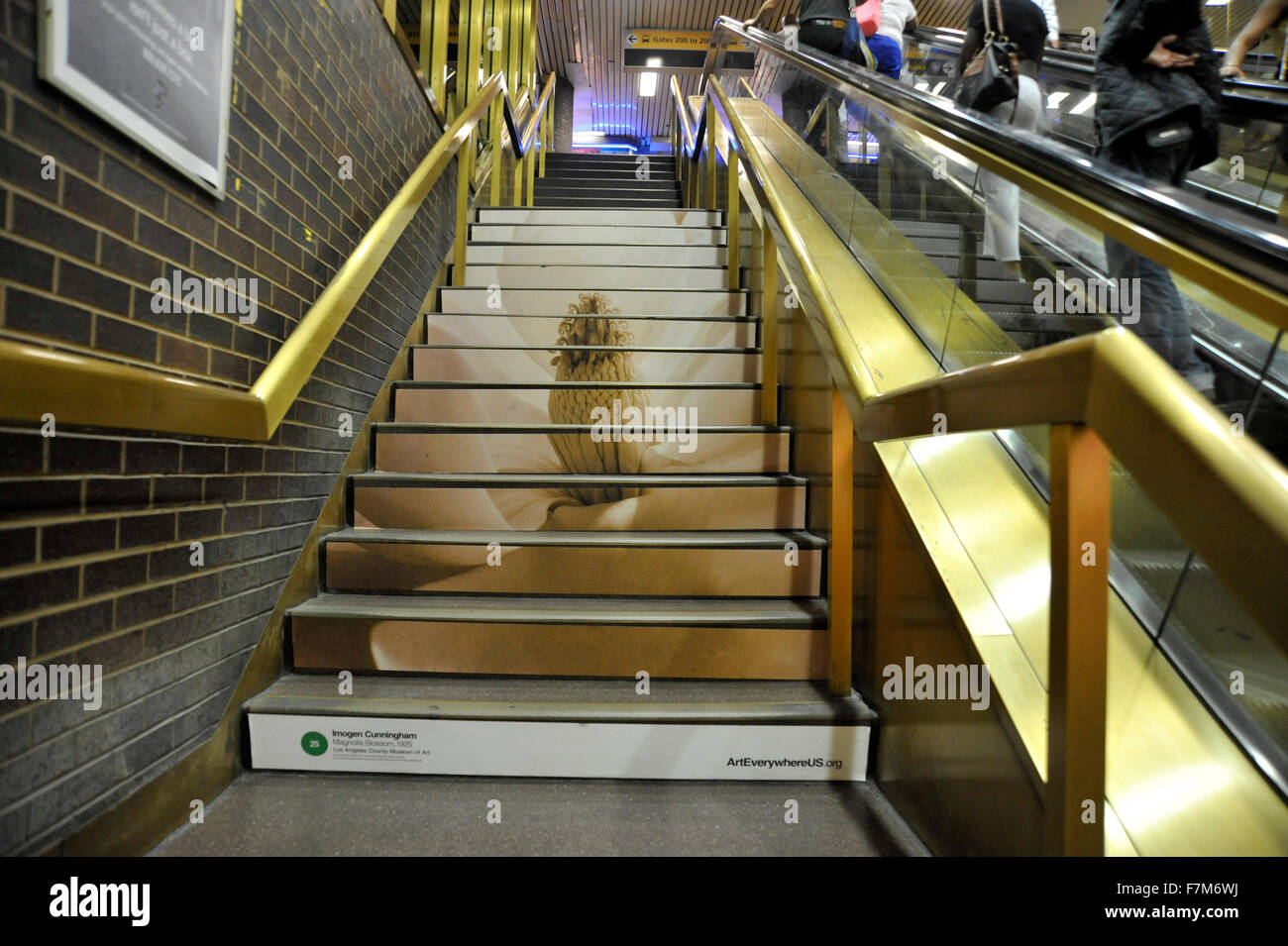 Imogen Cunningham Foto reproduziert auf Treppe des Port Authority Bus Terminal in New York City als Bestandteil der Kunst überall Event. Stockfoto