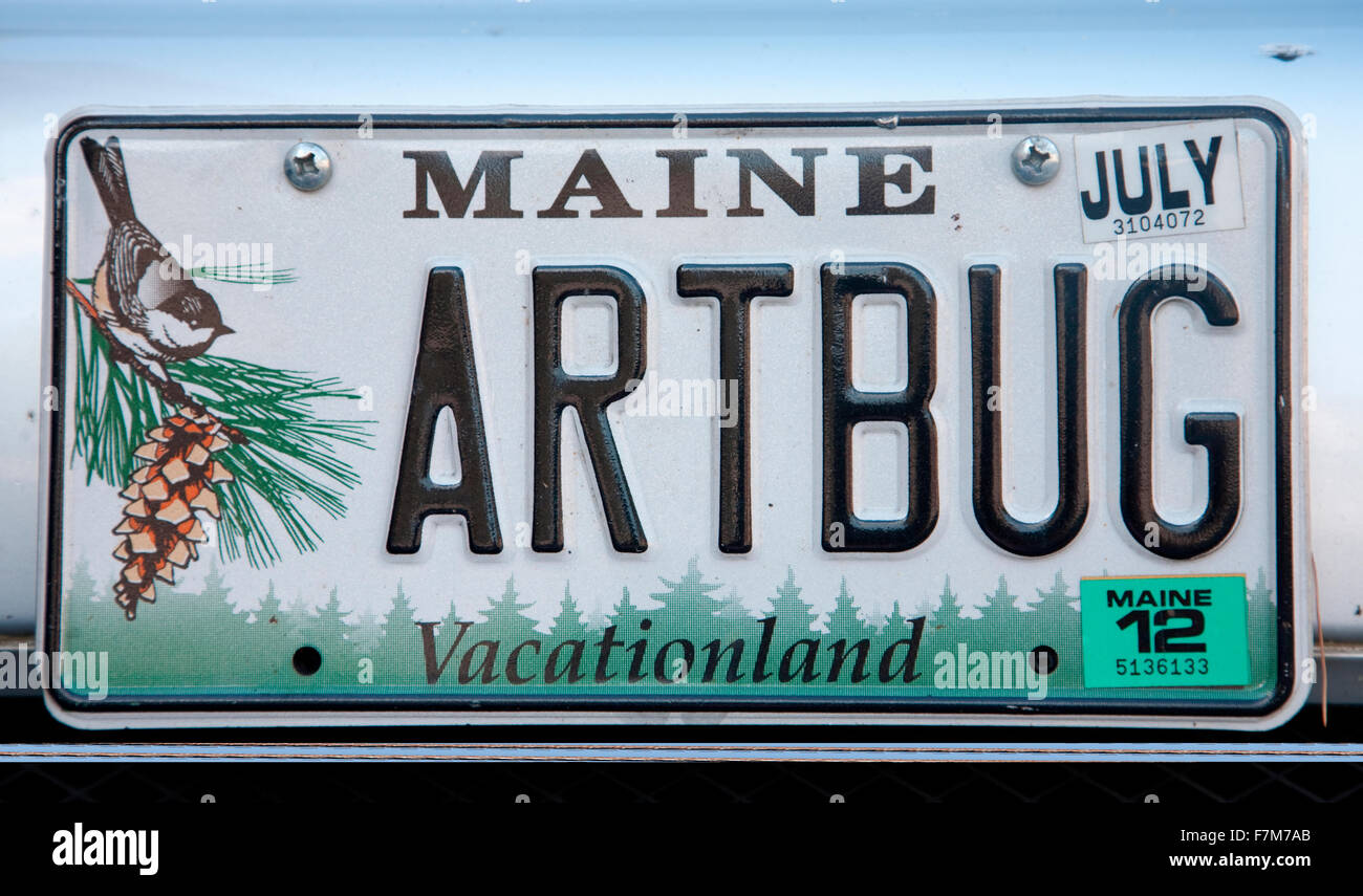 Maine Eitelkeit Nummernschild sagen 'Artbug', Maine Stockfoto